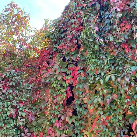 Casa vacanze Temelhof - Mit Sauna Und Kamin Sittersdorf