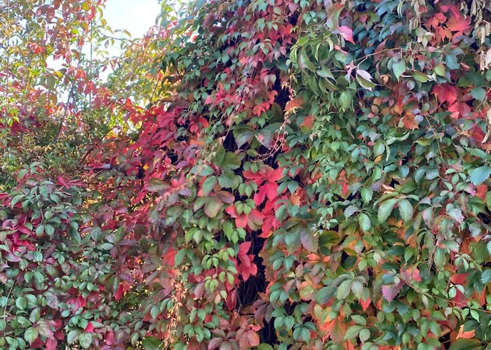 Holiday home Temelhof - Mit Sauna Und Kamin Sittersdorf